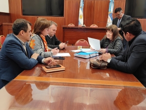 Mecenazgo y R&eacute;gimen para proyectos culturales, en la agenda parlamentaria