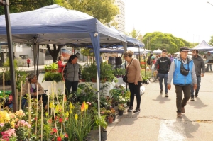 Este fin de semana llega la quinta edición de Jujuy Florece