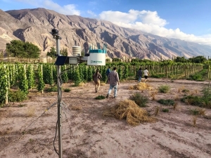Jujuy lanza Centro de Desarrollo Vitivin&iacute;cola y una innovadora Red Agroclim&aacute;tica para vitivinicultura de precisi&oacute;n