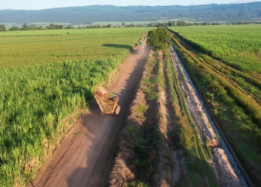 Dulce abundancia y amargo desaf&iacute;o: la sobreoferta azucarera en la agenda productiva del NOA