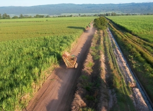 Az&uacute;car: industriales analizaron lo producido y la zafra venidera