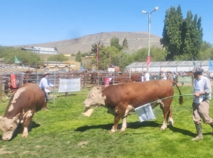 "Vuelven a atacar al sector que sostiene el pa&iacute;s"