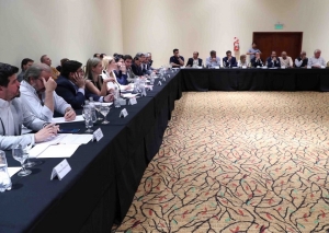 Periodo 2019-2024: se auguran inversiones por 18 mil millones de d&oacute;lares en cobre, litio, oro y plata