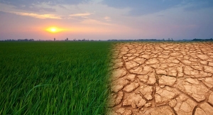 El impacto del cambio clim&aacute;tico en la producci&oacute;n