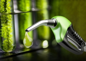 Biocombustibles: Gobierno aumenta 15,22% el bioetanol tras la aplicación del dólar maíz