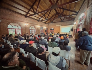 Campa&ntilde;a tabacalera 2024-2025: Jujuy alcanz&oacute; una producci&oacute;n de 34.000.255 kilos