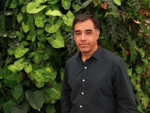 Dise&ntilde;o de una organizaci&oacute;n competitiva a trav&eacute;s de la innovaci&oacute;n