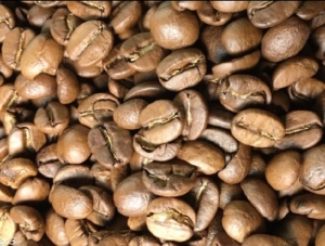 Caf&eacute;, &iquest;un nuevo polo productivo para el NOA?