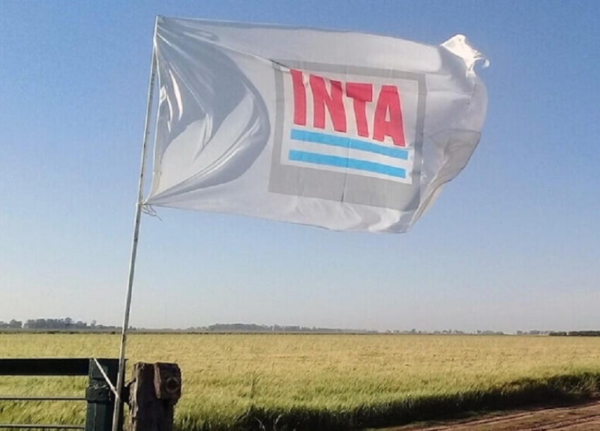 La reforma y la presidencia de Bronzovich fueron confirmadas en el INTA, en medio del reclamo: “¿modernizar para quién?”