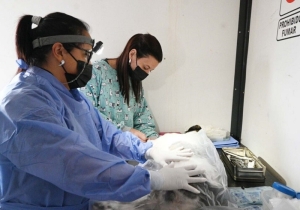 Zoonosis municipal: avanza cronograma semanal de actividades