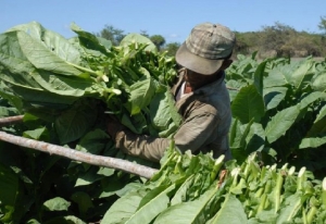 “Hay que buscar la manera que el productor no sea siempre la variable de ajuste”