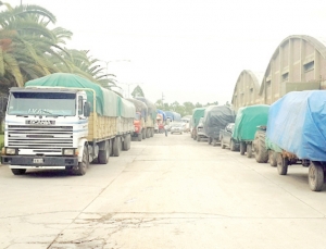 Aseguran que es el a&ntilde;o m&aacute;s duro de la producci&oacute;n tabacalera