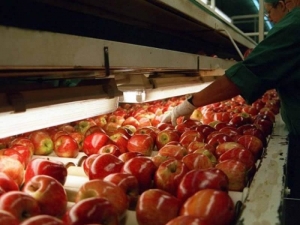 Frutas frescas con exportación suspendida: “es una luz amarilla que nos pone Brasil”