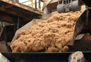 Azucareros con los ojos en el Congreso y de cara a un nuevo año "de restricciones"