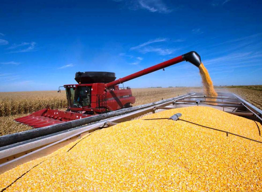 Agroexportación: en marzo ingresaron US$ 2.700 millones