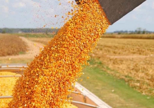 “No estoy contra el campo, estoy a favor de la mesa de los argentinos”