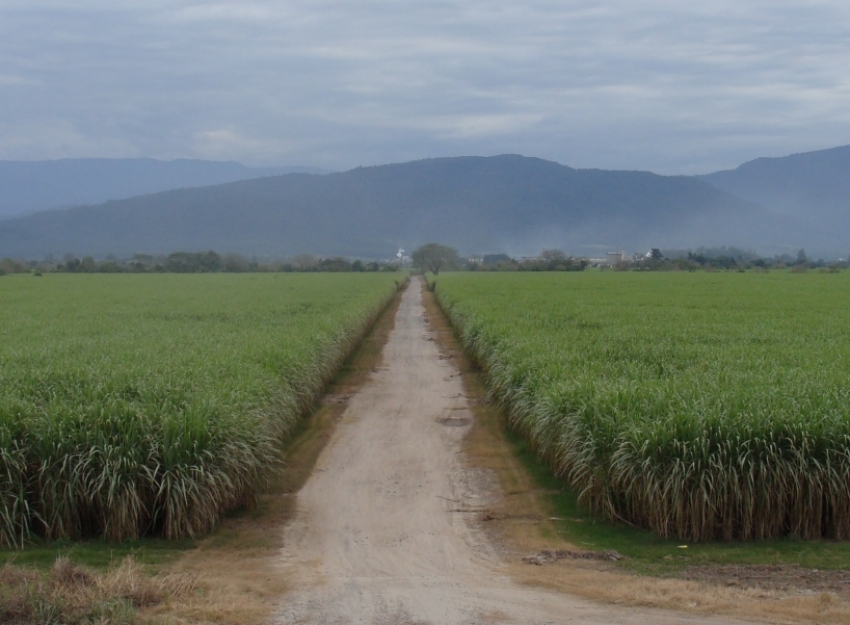 &iquest;Qui&eacute;n pierde cuando enfrentan a la producci&oacute;n con la salud?