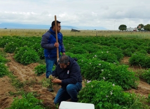Avanzan preparativos para un Seminario Internacional Hort&iacute;cola en Or&aacute;n