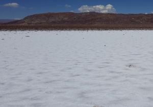Lithium Americas reiniciar&aacute; proyecto en Cauchari &ndash; Olaroz
