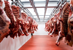 Cerraron las exportaciones de carne vacuna por 30 días