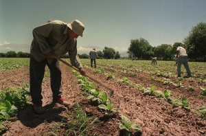 Encuentro de trabajadores rurales en Perico