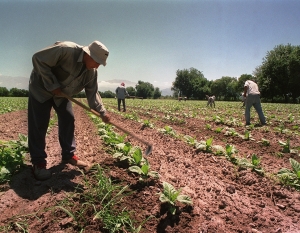 Beneficio para trabajadores rurales