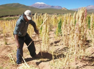 La contracara interna del negocio de divisas: &iquest;y la agricultura familiar?
