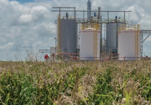 El Gobierno aumentó un 5% el precio del bioetanol de caña de azúcar y de maíz