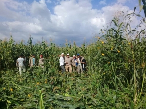 Formaci&oacute;n t&eacute;cnica y agro-cultural en las Yungas