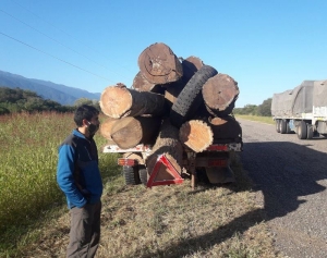 Control de gu&iacute;as forestales que asegura la trazabilidad de la madera