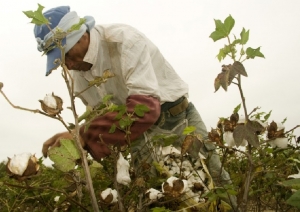 Trabajo Rural: la solicitud de &ldquo;prestaci&oacute;n por desempleo&rdquo; es virtual