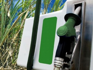 Biocombustibles en foco ante los aumentos de naftas y el análisis legislativo